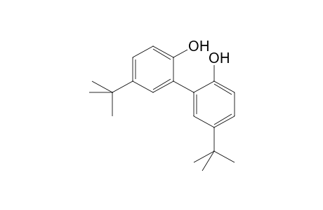 4-tert-Butyl-2-(5-tert-butyl-2-hydroxy-phenyl)phenol