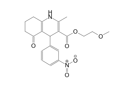 2-methoxyethyl 2-methyl-4-(3-nitrophenyl)-5-oxo-1,4,5,6,7,8-hexahydro-3-quinolinecarboxylate