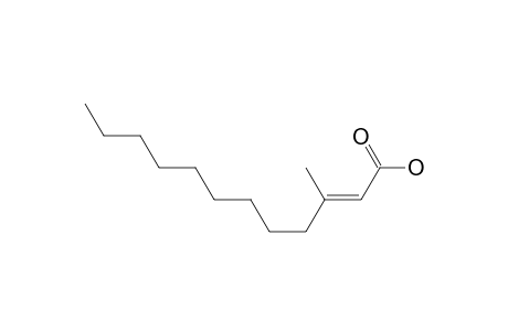 2-Dodecenoic acid, 3-methyl-, (E)-