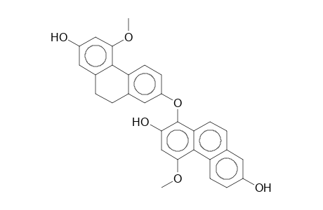 BLESTRIN D