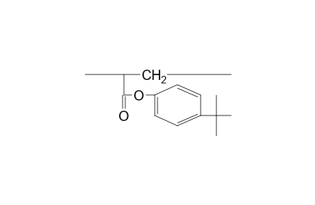 Poly(p-tert-butylphenyl acrylate)