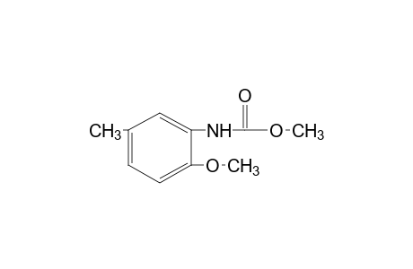 2-methoxy-5-methylcarbanilic acid, methyl ester