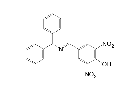 2,6-dinitro-4-[N-(diphenylmethyl)formimidoyl]phenol