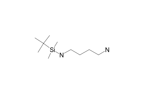 Putrescine, tbdms derivative