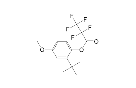 3-Tert-butyl-4-hydroxyanisole, o-pentafluoropropionyl-