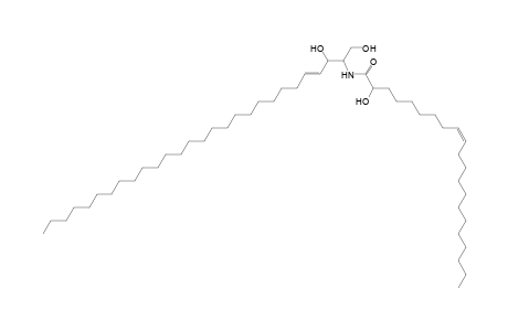 Cer 28:1;2O/21:1;(2OH)