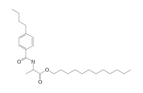 D-Alanine, N-(4-butylbenzoyl)-, dodecyl ester