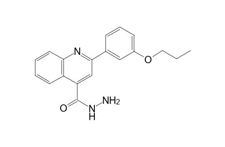 2-(3-Propoxyphenyl)-4-quinolinecarbohydrazide