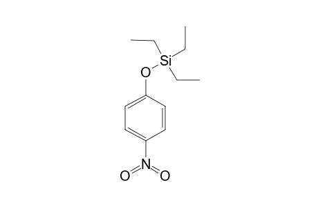 4-Nitrophenol, triethylsilyl ether