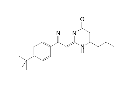 2-(p-tert-BUTYLPHENYL)-5-PROPYLPYRAZOLO[1,5-a]PYRIMIDIN-7(4H)-ONE