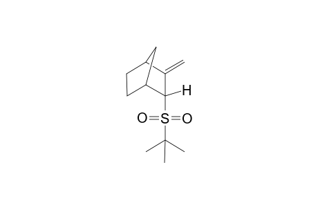 (exo)-3-Methylene-2-[2'-methylpropyl-2'-sulfonyl)bicyclo[2.2.1]heptane