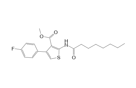 Methyl 4-(4-fluorophenyl)-2-(octanoylamino)-3-thiophenecarboxylate