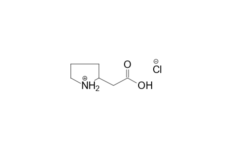 2-Pyrrolidineacetic acid, hydrochloride