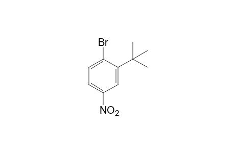 1-bromo-2-tert-butyl-4-nitrobenzene