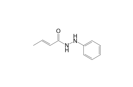 2-Butenoic acid, 2-phenylhydrazide