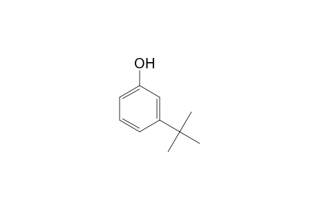 3-Tert-butylphenol