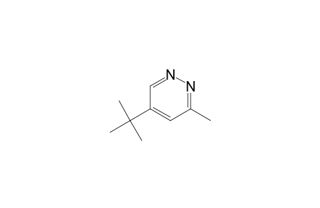 5-tert-butyl-3-methyl-pyridazine