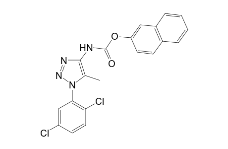 naphthalen-2-yl 1-(2,5-dichlorophenyl)-5-methyl-1H-1,2,3-triazol-4-ylcarbamate