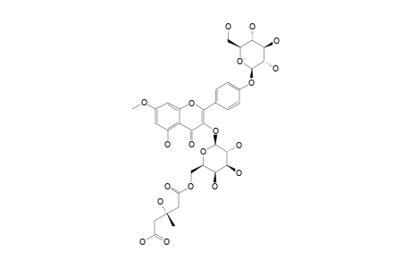 OXYTROFLAVOSIDE_E;RHAMNOCITRIN_3-O-[(S)-3-HYDROXY-3-METHYLGLUTARYL-(1->6)]-BETA-D-GALACTOPYRANOSYL-4'-O-BETA-D-GLUCOPYRANOSIDE