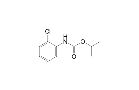 o-chlorocarbanilic acid, isopropyl ester