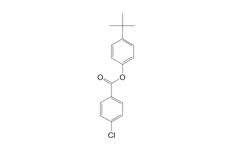 p-chlorobenzoic acid, p-tert-butylphenyl ester