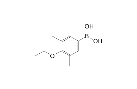 3,5-Dimethyl-4-ethoxybenzeneboronic acid