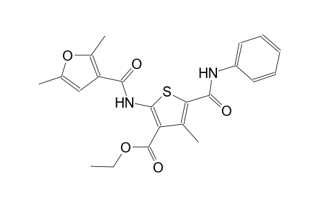 ethyl 5-(anilinocarbonyl)-2-[(2,5-dimethyl-3-furoyl)amino]-4-methyl-3-thiophenecarboxylate