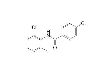 4,6'-dichloro-o-benzotoluidide