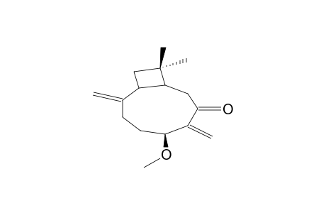 (1S,5R,9R)-5-METHOXYCARYOPHYLLA-2(15),6(14)-DIEN-7-ONE