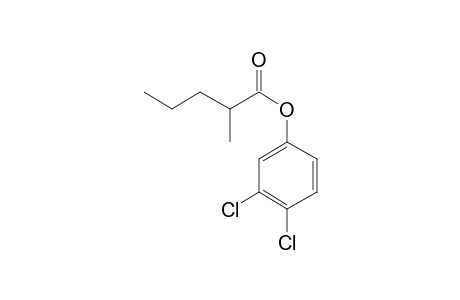 2-Methylvaleric acid, 3,4-dichlorophenyl ester