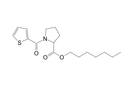 L-Proline, N-(thiophen-2-carbonyl)-, heptyl ester