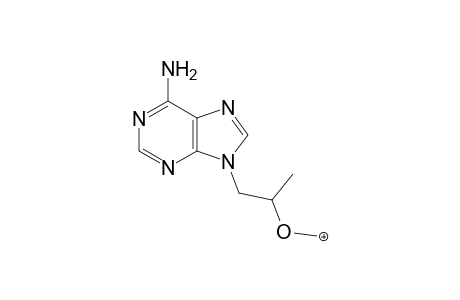 Tenofovir MS3_1