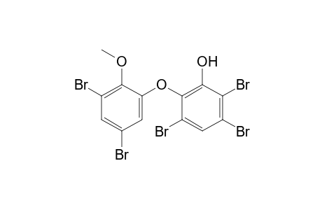 2,3,5-TRIBROMO-(3',5'-DIBROMO-2'-METHOXYPHENOXY)-PHENOL