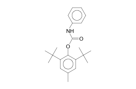 2,6-Ditert-butyl-4-methylphenyl phenylcarbamate