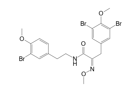 Hemibastadin-2