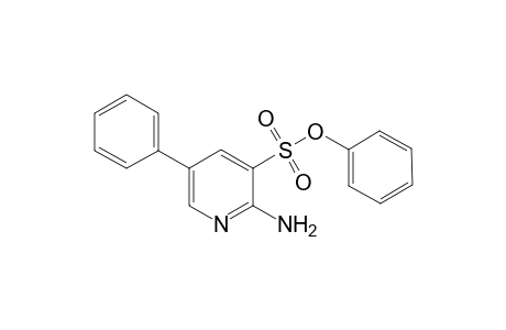 Phenyl 2-Amino-5-phenylpyidine-3-sulfonate