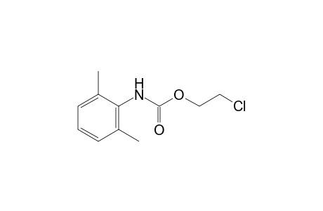 2,6-dimethylcarbanilic acid, 2-chloroethyl ester
