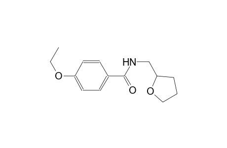 4-ethoxy-N-(tetrahydro-2-furanylmethyl)benzamide