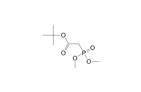 phosphonoacetic acid, 1-tert-butyl dimethyl ester