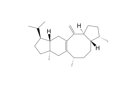 Aspergildiene D