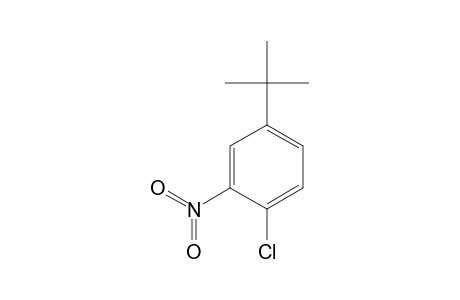 4-tert-BUTYL-1-CHLORO-2-NITROBENZENE