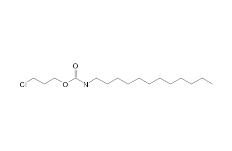 Carbonic acid, monoamide, N-dodecyl-, 3-chloropropyl ester