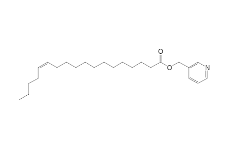 cis-13-Octadecenoic acid, picolinyl ester