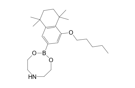 2-(4-Pentyloxy-5,5,8,8-tetramethyl-5,6,7,8-tetrahydronaphthalen-2-yl)-1,3,6,2-dioxazaborocane