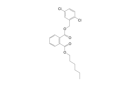 Phthalic acid, 2,5-dichlorobenzyl hexyl ester