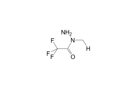 (E)-N-METHYL-N-TRIFLUOROACETYLHYDRAZINE