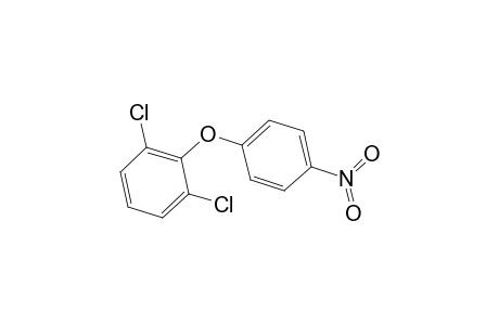 2,6-Dichlorophenyl p-nitrophenyl ether