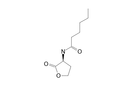 N-Hexanoyl-homoserine-lactone