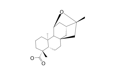 11-BETA,16-OXO-ENT-KAURAN-19-OIC-ACID