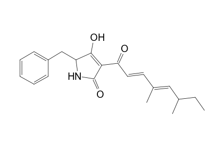 1,5-3-(E,E-4,6-Dimethylocta-2,4-dienoyl)-5-benzyl-2,4-dioxopyrrolidine